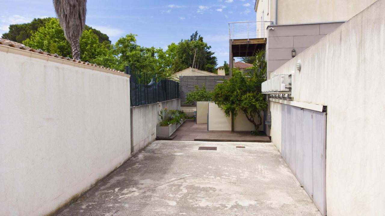 Rainette * Saint-Cyr-sur-Mer