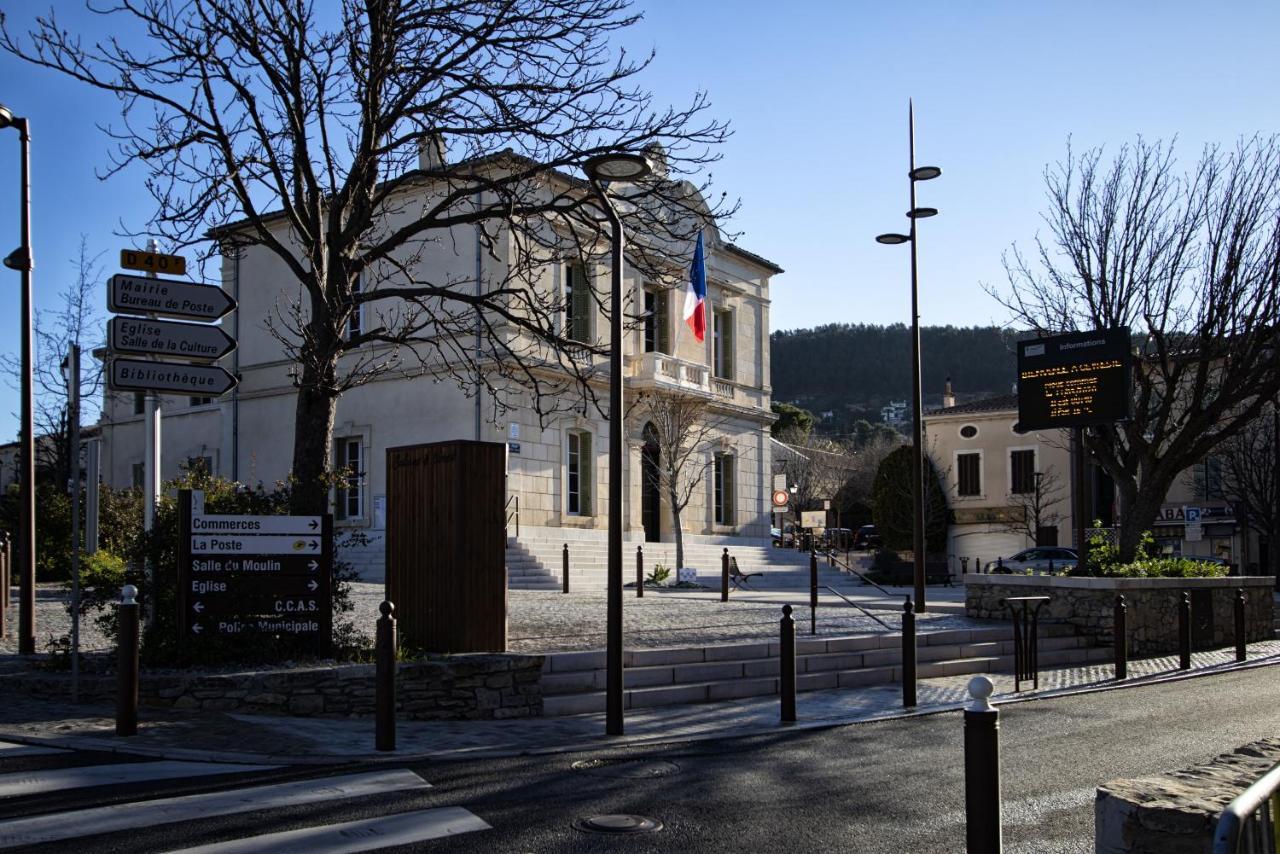 Rainette * Saint-Cyr-sur-Mer