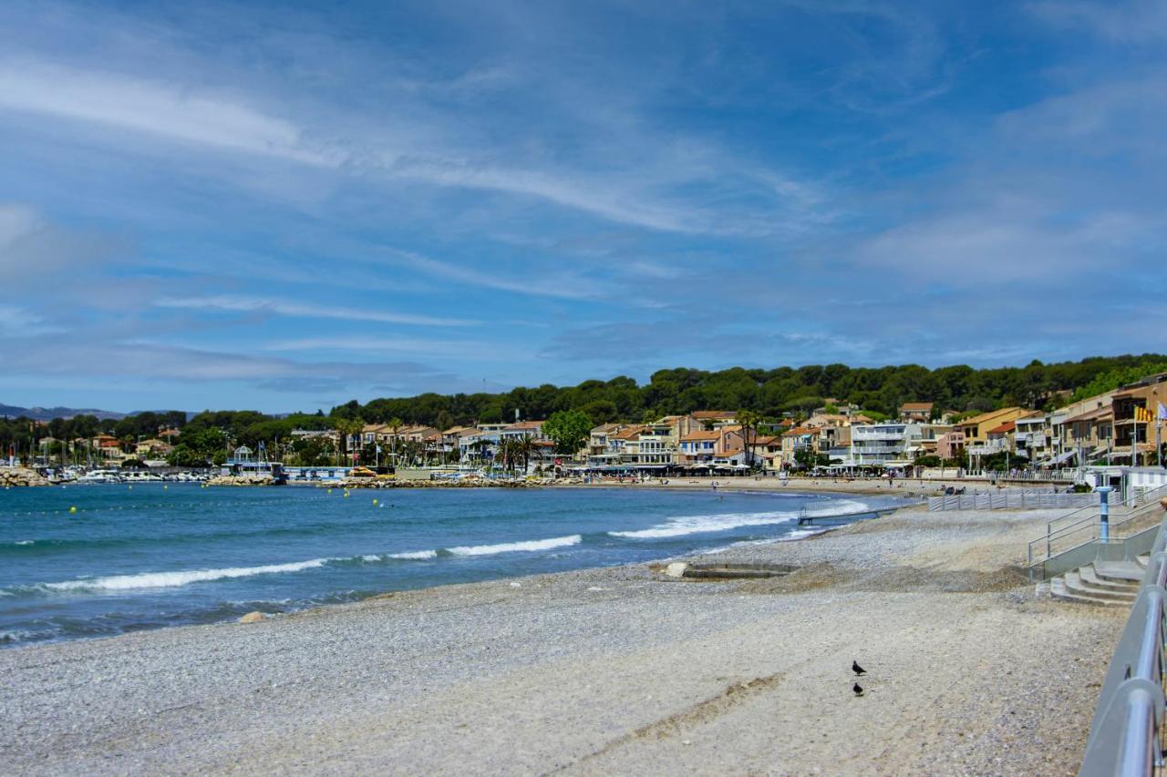Rainette Saint-Cyr-sur-Mer