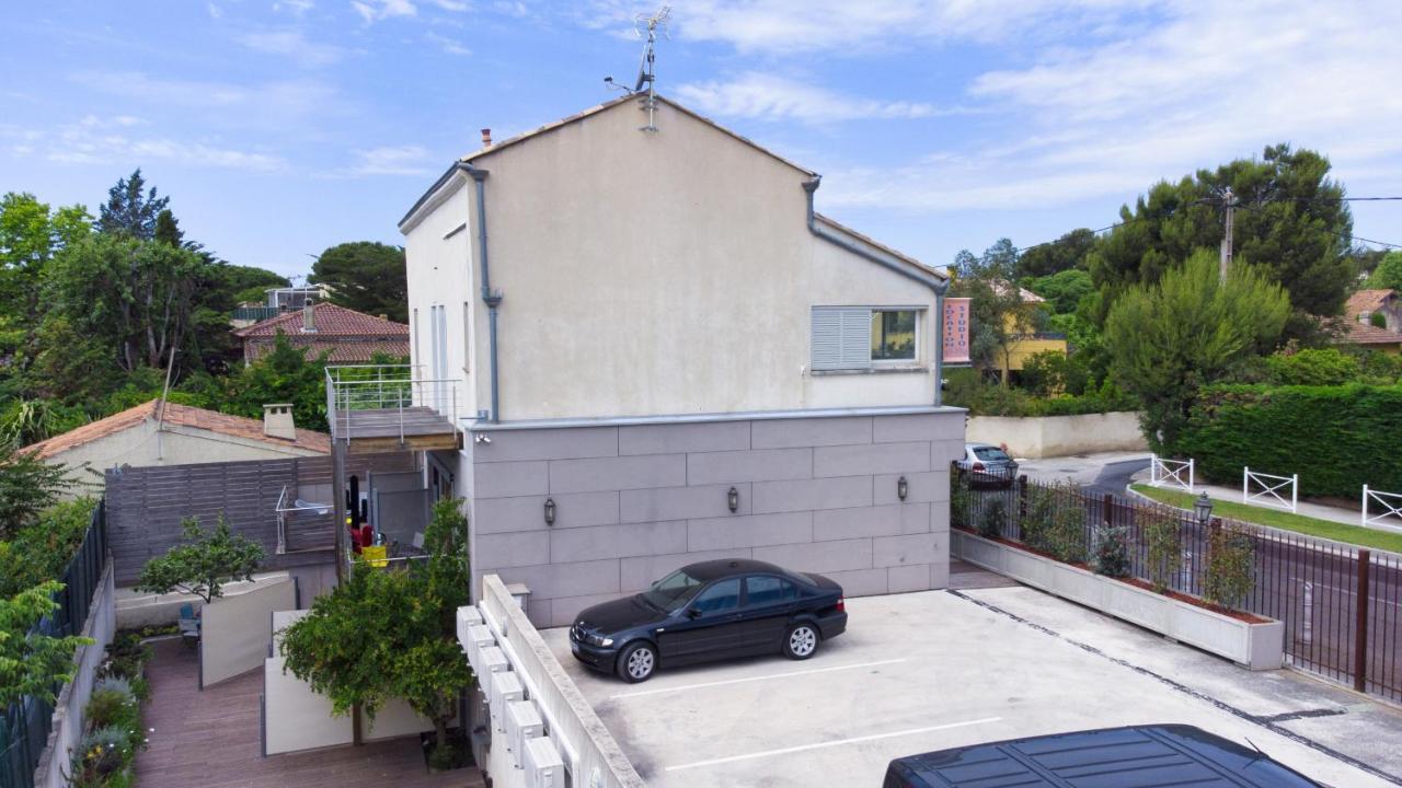 Rainette * Saint-Cyr-sur-Mer